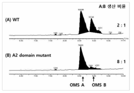 A2 domain mutant에서 OMS A, B의 생산비율 변화