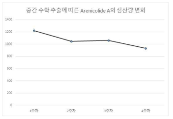중간 수확 추출에 따른 Arenicolide A의 생산량 변화
