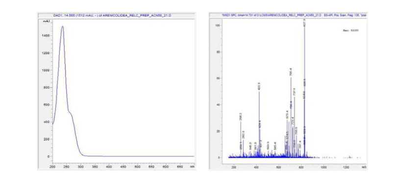 LC/MS로 확인 된 Arenicolide A 물질의 UV spectrum과 positive mass spectrum data