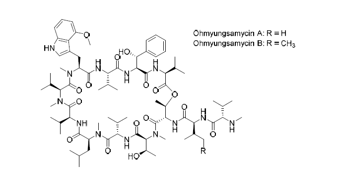 Ohmyungsamycin A와 B 물질의 구조