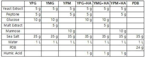 액체 배지 조성