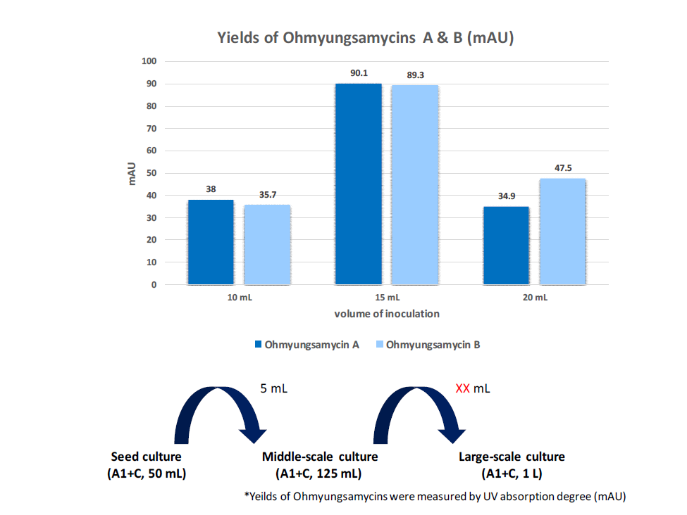 Inoculation volume 조절을 통한 Ohmyungsamycins A와 B의 생산량 비교