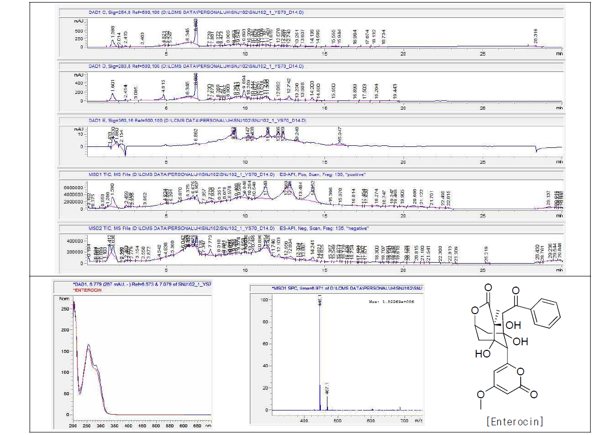Enterocin의 LC/MS profile, UV spectrum, mass spectrum, 및 구조