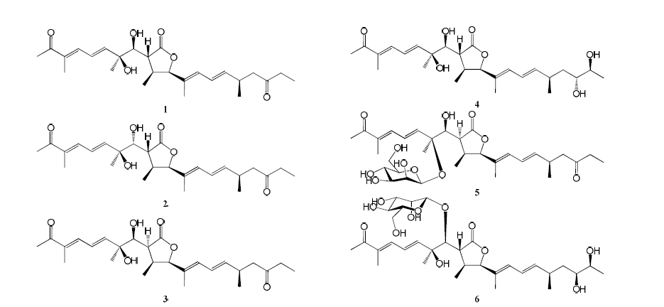FF077 균주의 신규물질 구조 (Compounds 1 - 6)