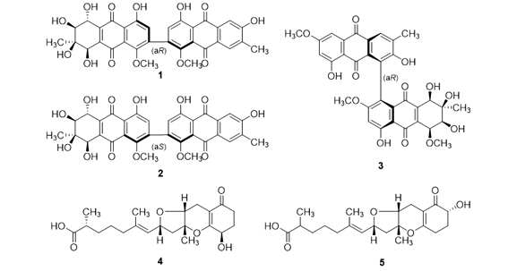 FJJ006 균주의 신규물질 구조 (Compounds 1 - 5)