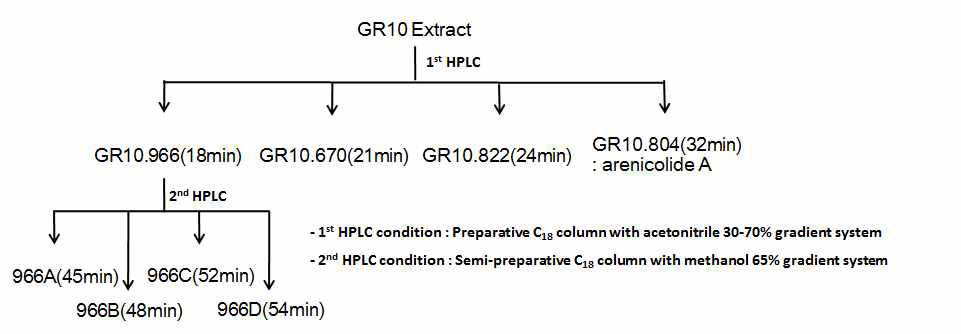 GR10 균주의 배양액 추출물 분리과정