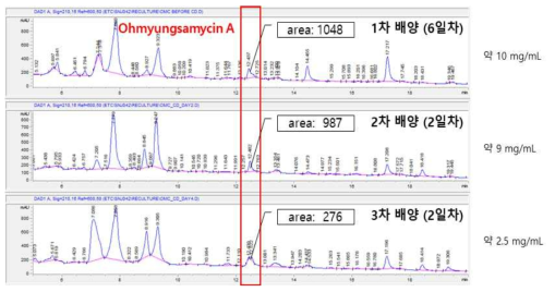 Ohmyungsamycin A의 중간 수확 추출에 따른 생산량의 LC/MS 분석 자료