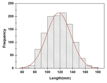멍게 길이에 대한 분포도