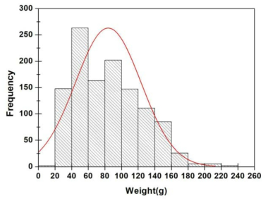멍게 무게에 대한 분포도