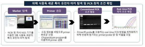 위해 식중독균 특이 유전자 마커 탐색 및 PCR 최적 조건 확립