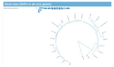 전체 유전자 대상으로 그린 phylogenetic tree 예시