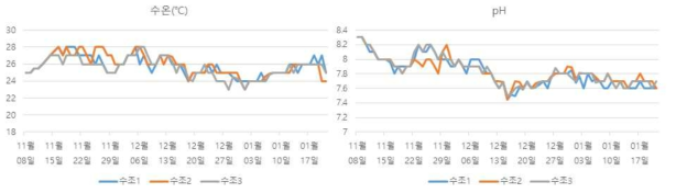보리새우 사육 수온 및 pH 변화 추이