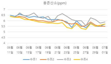 대하 초기육성 용존산소 농도 변화 추이