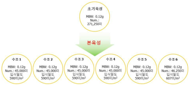 대하 본육성 사육수조 현황