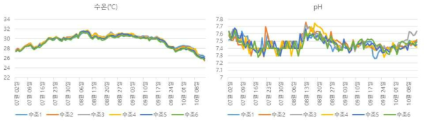 대하 본육성 수온, pH 변화 추이