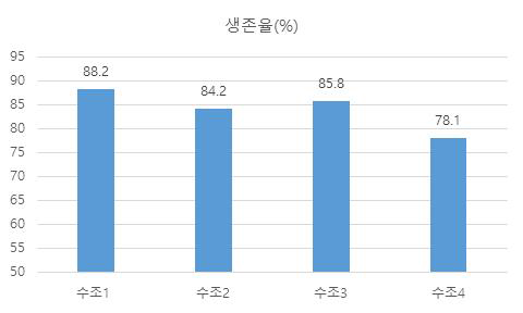 흰다리새우 본육성 기간 동안의 수조별 생존율 결과