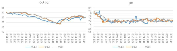 2차년도 흰다리새우 본육성 기간 동안의 수온 및 pH 변화 추이