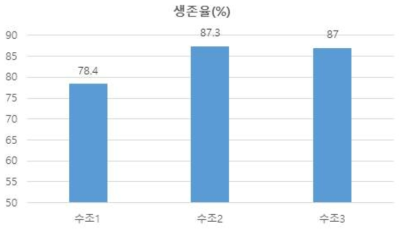 2차년도 흰다리새우 본육성 기간 동안의 수조별 생존율 결과