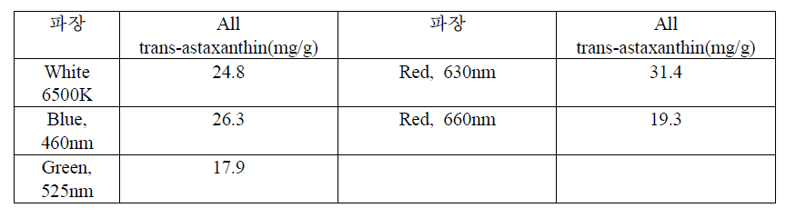 각각의 파장에서 배양한 헤마토코쿠스 플루비알리스로부터 생산한 아스타잔틴의 함량 비교