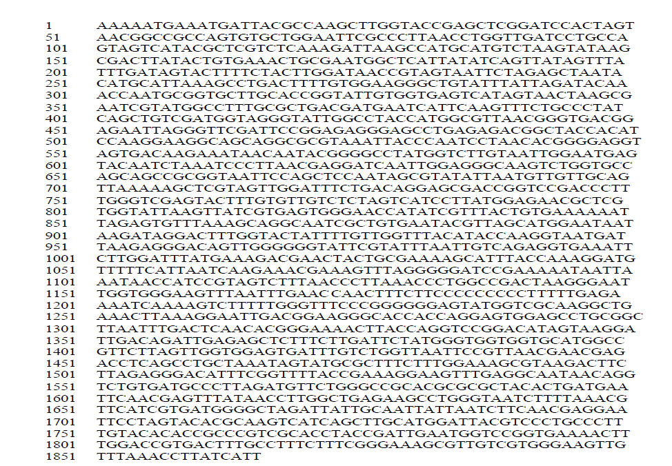 rRNA sequence