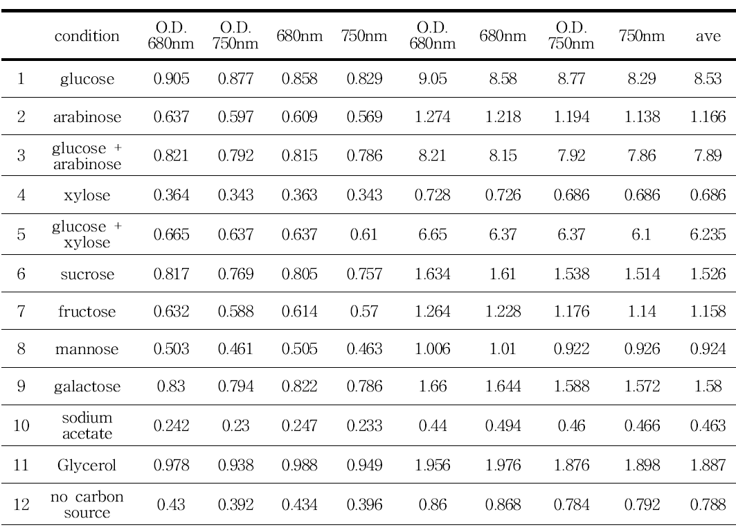 carbon source 최적화 시험