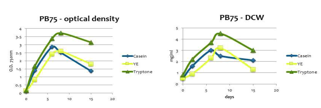 Optical density, DCW