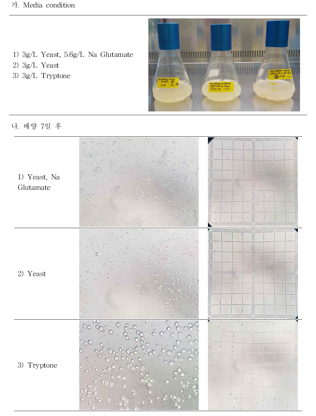 100ml flask test 결과