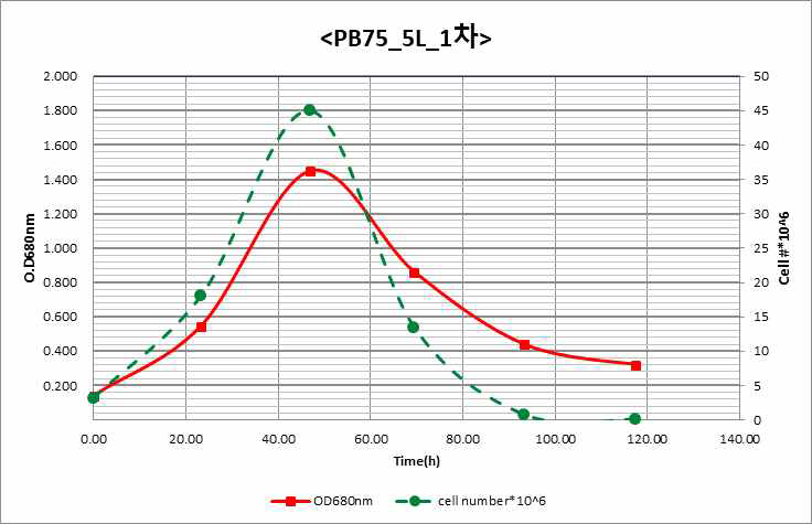 PB75 5L 1차 배양 결과