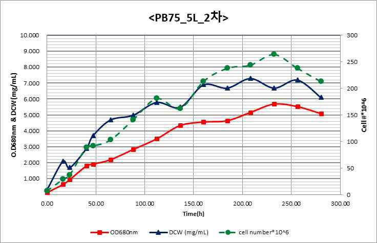 PB75 5L 2차 배양 결과