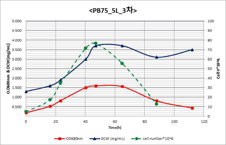 PB75 5L 3차 배양 결과