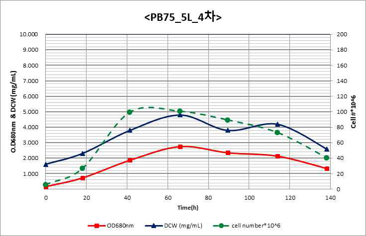 PB75 5L 4차 배양 결과 (사진 자료)