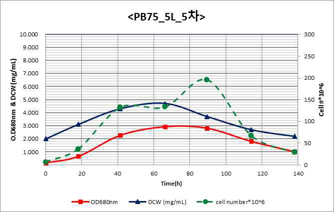 PB75 5L 5차 배양 결과