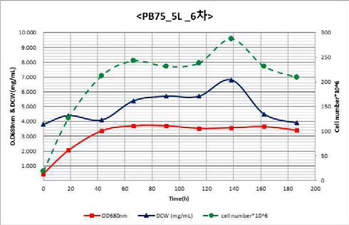 PB75 5L 6차 배양 결과