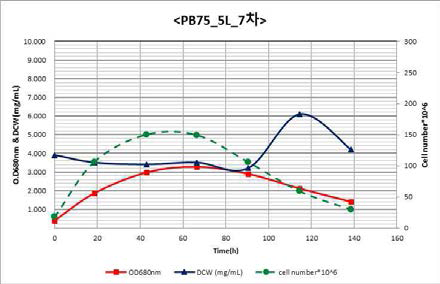 PB75 5L 7차 배양 결과