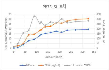 PB75 5L 8차 배양 결과