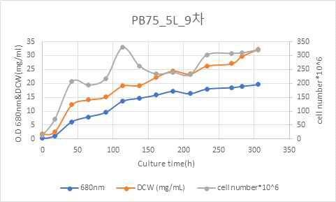 PB75 5L 9차 배양 결과