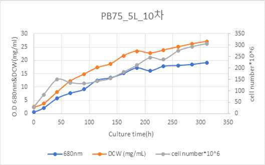 PB75 5L 10차 배양 결과