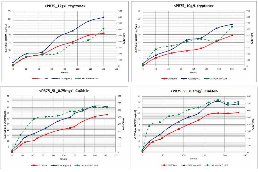 tryptone, micro nutrient test 결과 (5L)