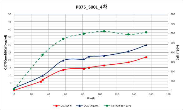 PB-75 500L 배양 결과 (3g/L Tryptone)