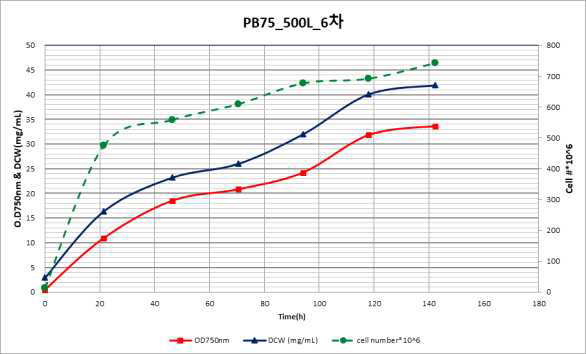 PB-75 500L 배양 결과 (3g/L Casein protein)