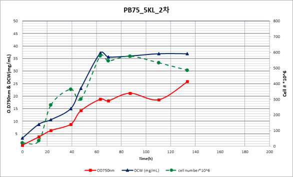 PB-75 5KL 2차 배양 결과