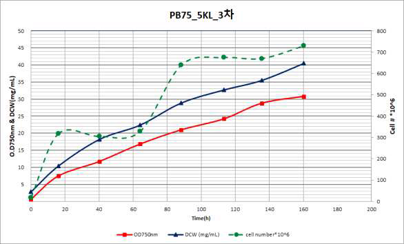 PB-75 5KL 3차 배양 결과