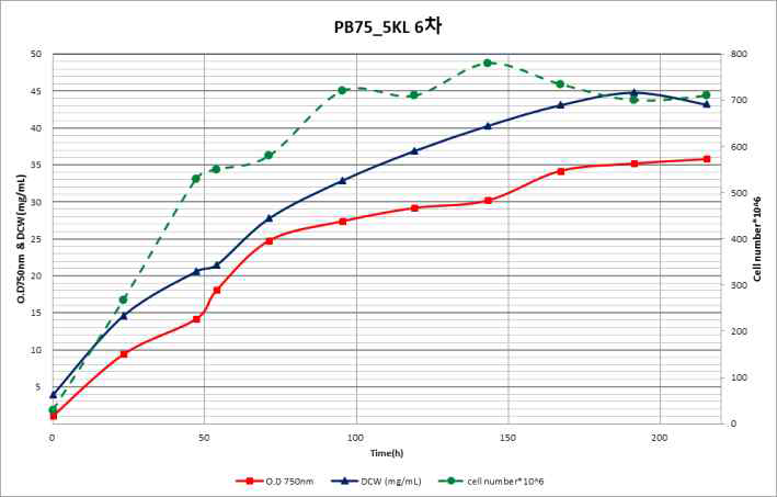 PB-75 5KL 6차 배양 결과