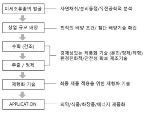 미세조류의 상업적 생산의 기술적 과정