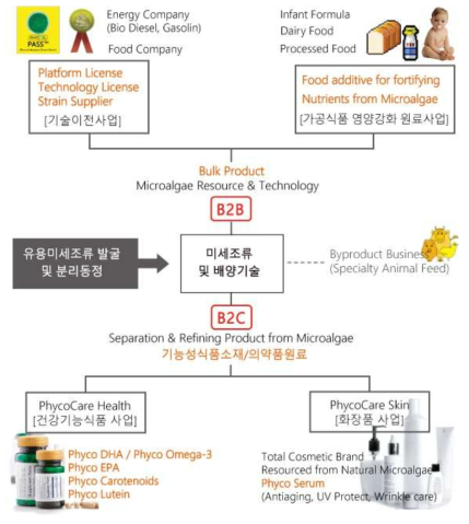 미세조류 소재화 및 최종소비제품의 구성의 예