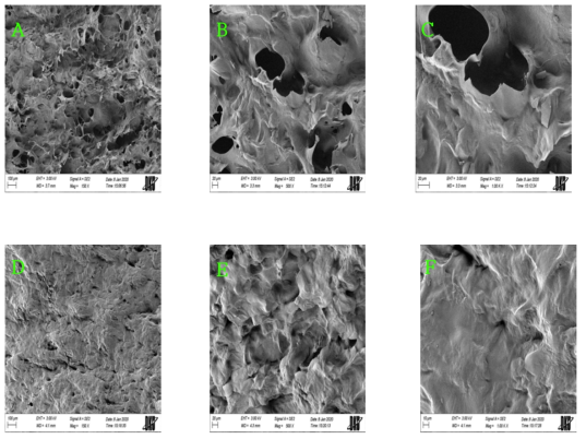 Scanning electron micrographs of fish cake noodle. A: Dried fish cake noodle ✕150;, B: Dried fish cake noodle ✕500; C: Dried fish cake noodle ✕1000;, D: Retort pouch fish cake noodle (Wet noodle) ✕150; E: Retort pouch fish cake noodle (Wet noodle) ✕500;, F: Retort pouch fish cake noodle (Wet noodle) ✕1000;