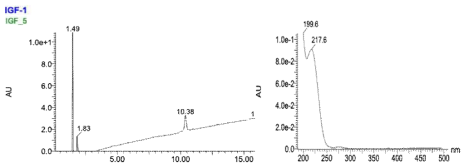 HPLC chromatogram and UV-Vis spectrum of main peak