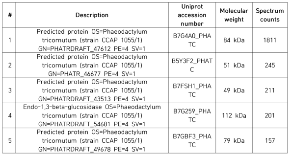 MS/MS data 분석 상위 5개 단백질 리스트