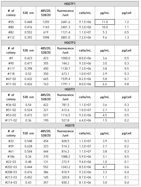 HGGTF1 및 HGGTF2, HGGTI1, HGGTE 최종 선별