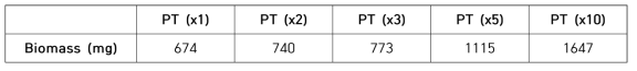 배지농도 변화에 따른 PT 바이오매스 변화